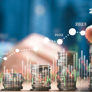 Auditors in the Revenue Cycle Continuum