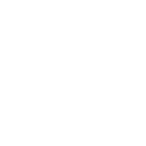 Auditors in the Revenue Cycle Continuum